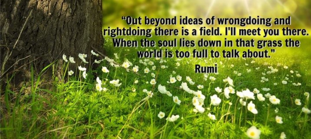 Rumi quote