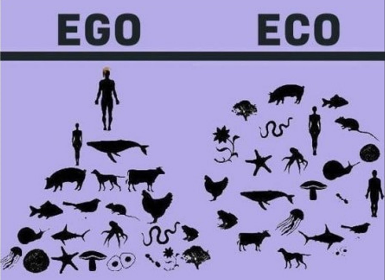 Ego to Eco